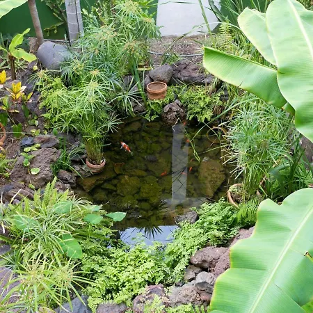 927 Amazing View El Dorado Apartman