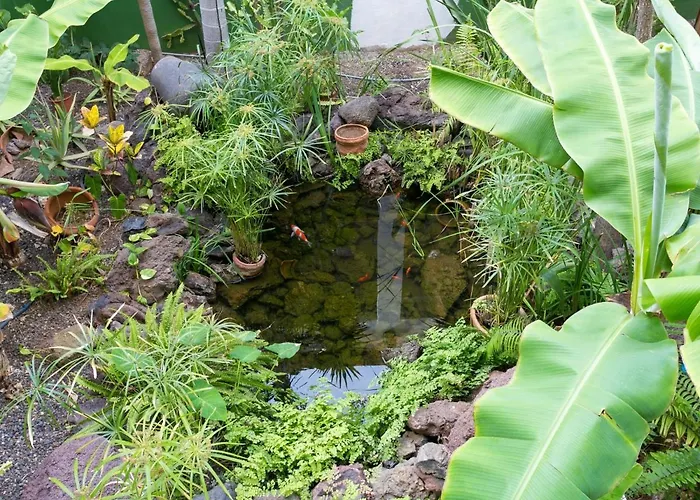 927 Amazing View El Dorado Daire